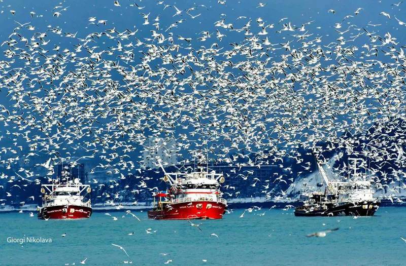 Такого красивого Батуми вы никогда не видели – путешествие в волшебный приморский город