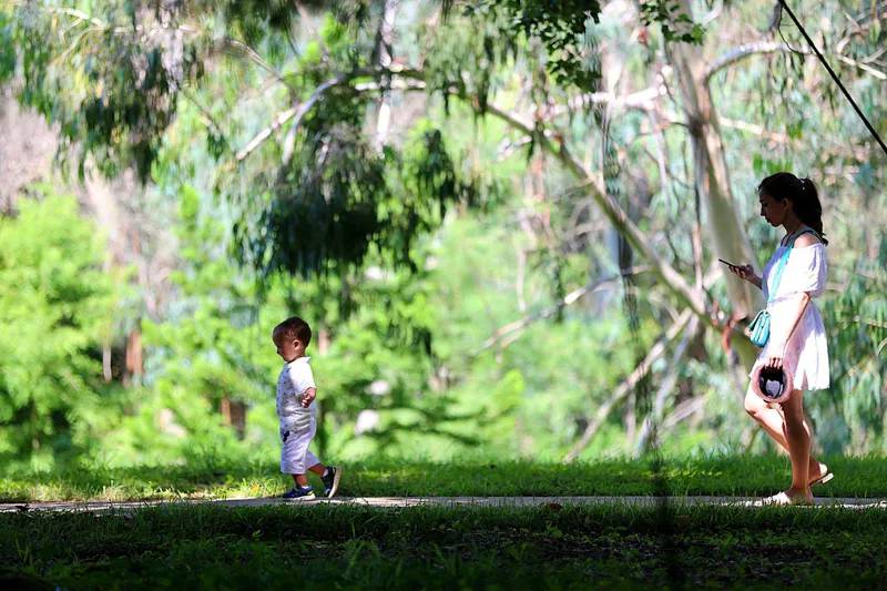Экзотические животные и гигантские деревья - фотографии из Дендрологического парка в Шекветили