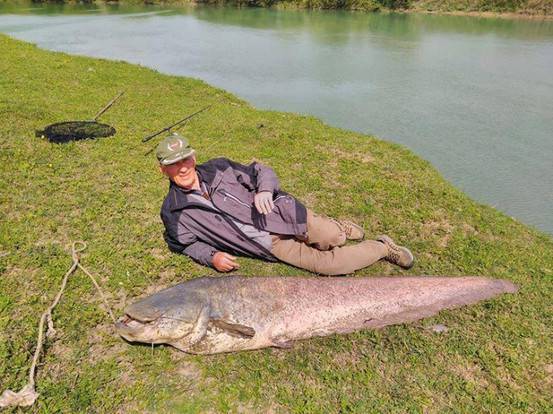 Зугдидский рыбак поймал  рыбу  размером с человека