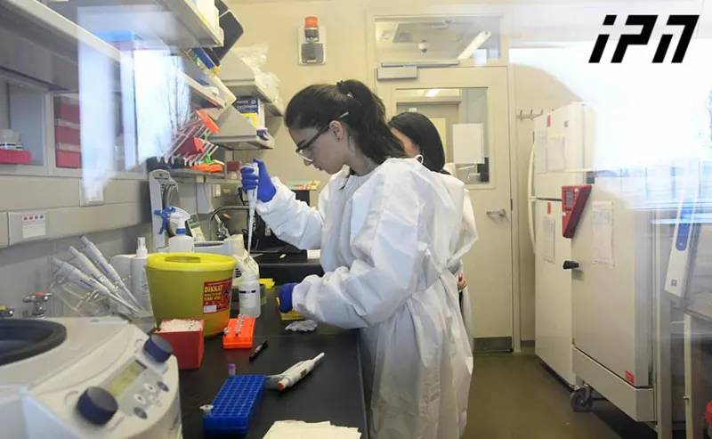 Как проводится анализ на коронавирус – фото из лаборатории Лугара