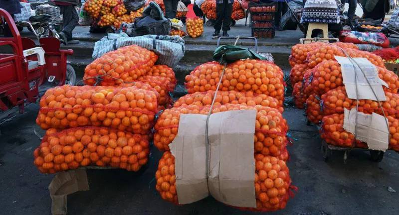 Тяжелая осень в Абхазии - «Пока мы пытаемся прокормиться, продавая мандарины и мимозу, в стране процветает наркобизнес...»