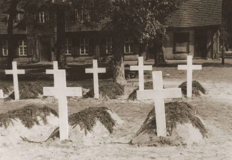 Грузинский лейтенант, бежавший из лагеря военнопленных, скрывался от нацистов в зоопарке... - Новые данные о пропавших без вести солдатах