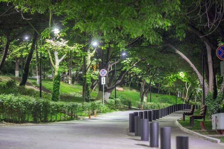 Реабилитация «Мзиури» завершается - как выглядит любимый парк тбилисцев