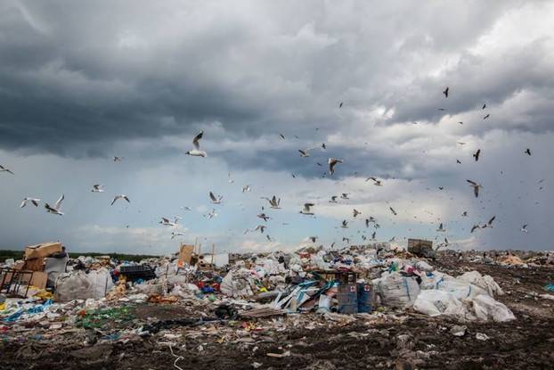 «Сейчас должны заразить гальцев» - свалку перенесли из Сухуми в Гали