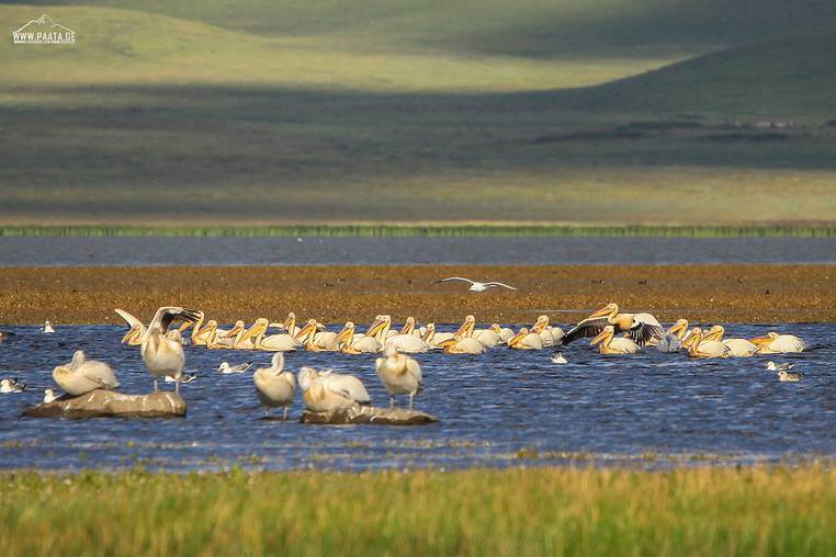 В Самцхе-Джавахети будет создан национальный парк