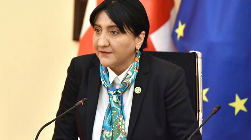 Ирма Инашвили: Все это одна большая ложь! Это дешёвая афера! И это происходит потому, что мы действительно были в Абхазии, в то время как Саакашвили-Бокерия сдали Кодори и Ахалгори!