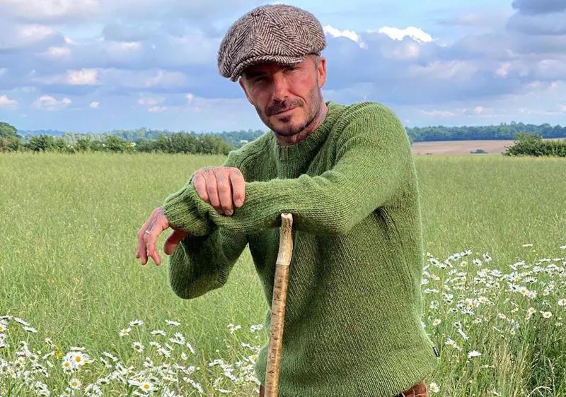 От футбола до пчеловодства - Дэвид Бекхэм начинает продажу натурального меда