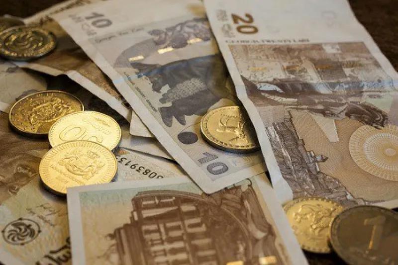 Лари исполнилось 25 лет - Кто выбрал название национальной валюты в 1991 году