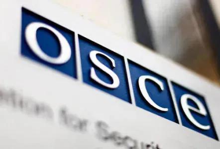 За парламентскими выборами в Грузии будет наблюдать группа ПА ОБСЕ