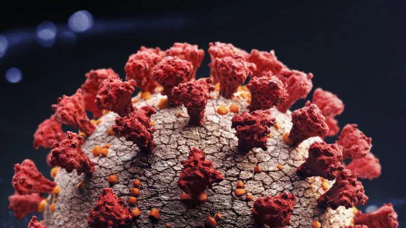 ВОЗ предупреждает об угрозе третьей волны коронавируса в Европе