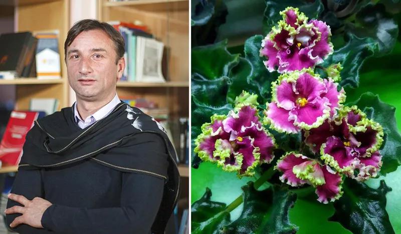 «У родителей нет денег на Интернет, дети не могут присутствовать на онлайн-уроках. Мы вырастили в горшках фиалки и, продав их,  собрали деньги» - необычный метод Ладо Апхазава в помощь ученикам