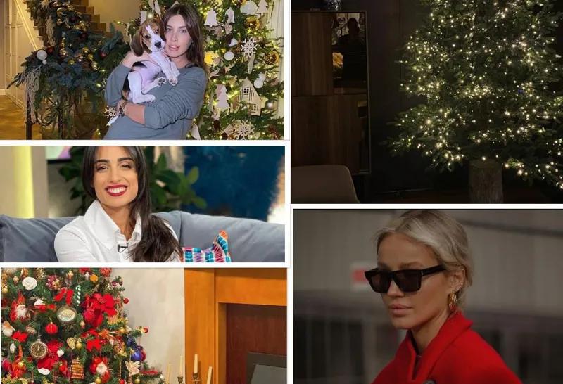 Новогодние декорации грузинских звезд - как  они украсили елки к празднику (фото)