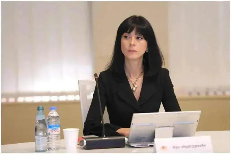 Тея Ахвледиани – Мы готовы расшить платформу неформального диалога и сотрудничества с абхазским и осетинским обществами на  основе общих интересов