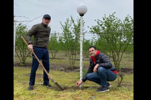 Георгий Гахария с лопатой в руках - фото экс-премьера из Кахети