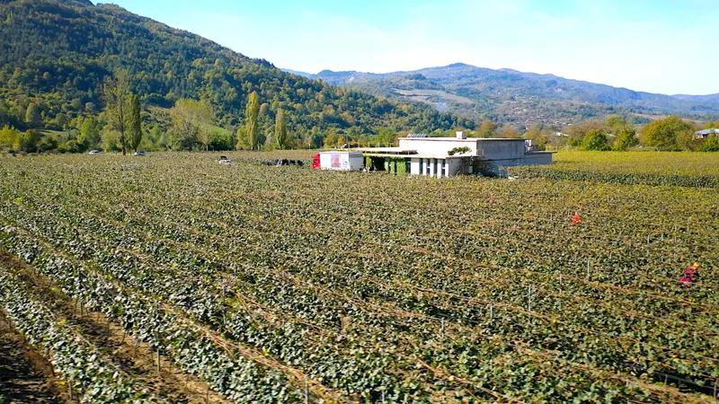 Новое приобретение GWS в Раче