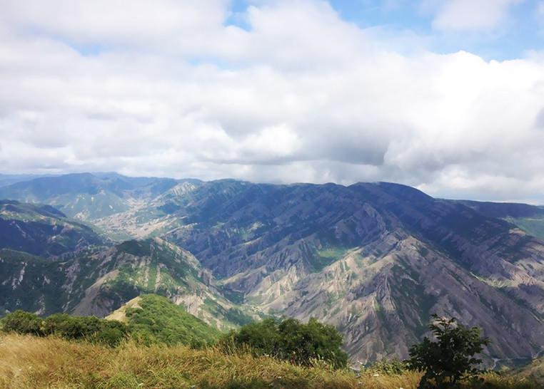 В Грузии будут созданы 2 новые охраняемые территории – Тана и Тедзами