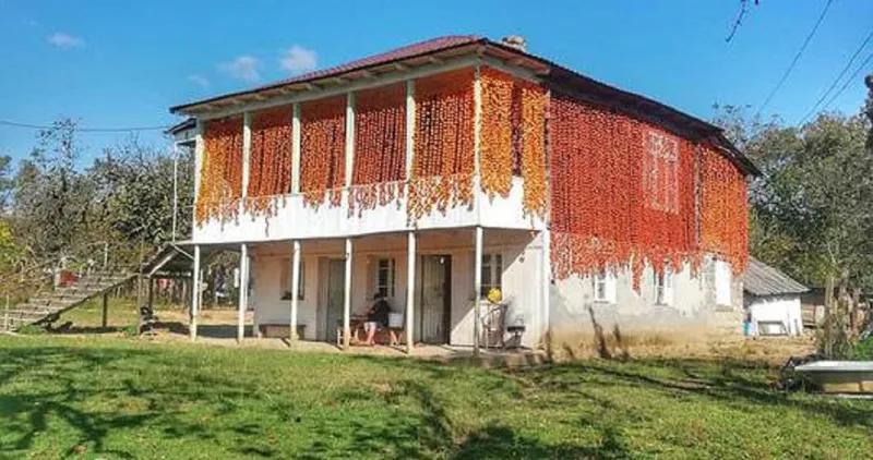 Почему в Самегрело делают «шторы из хурмы» и откуда идет красивая осенняя традиция?