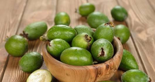 «Единственное растение, которое по содержанию йода не уступает морским водорослям» - вы обязательно должны это знать!