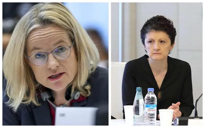 «Госпожа Цулукиани лучше всех знает, что я критик режима Саакашвили… Она распространяет дезинформацию» - Жесткий ответ европарламентария министру