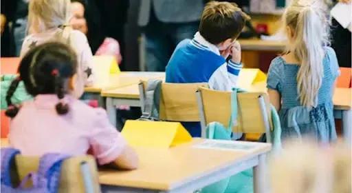 В Тбилиси и регионах 912 учащимся украиноязычного сектора преподают 29 педагогов