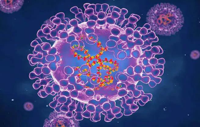 В Грузии исследуется один случай подозрения на «оспу обезьян»