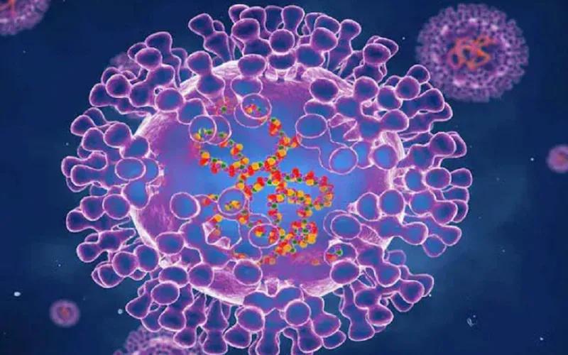 В Грузии зафиксирован первый случай т.н. оспы обезьян