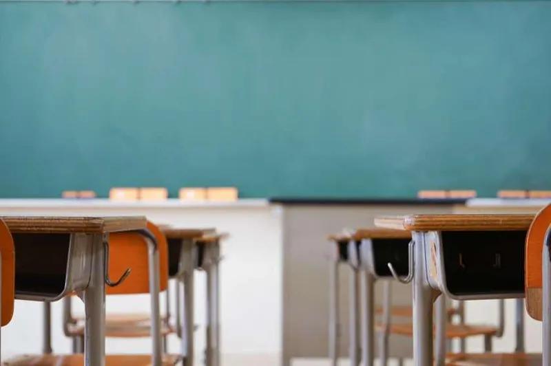 К новому учебному году в Тбилиси создан еще один украиноязычный сектор и расширен украиноязычный сектор 20-й публичной школы в Батуми