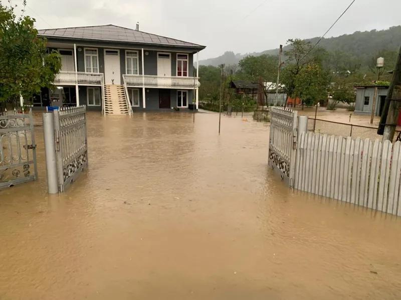 «Наверное, самая мощная стихия последних лет», - поваленные деревья, паводки, оползень: что происходит в Цаленджихе? Фото из зоны стихии