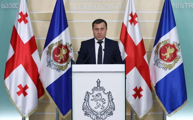 По делу о трагедии в парке Ваке задержаны 9 человек, в том числе Лаша Пурцхванидзе и замглавы службы охраны окружающей среды мэрии Тбилиси