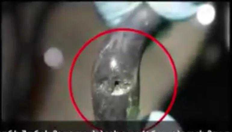 Прокуратура распространяет кадры, где виден поврежденный электрокабель в центральном фонтане парка Ваке