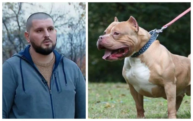 «Питбули не должны быть доступны каждому…» - что говорят кинолог  и защитники прав животных