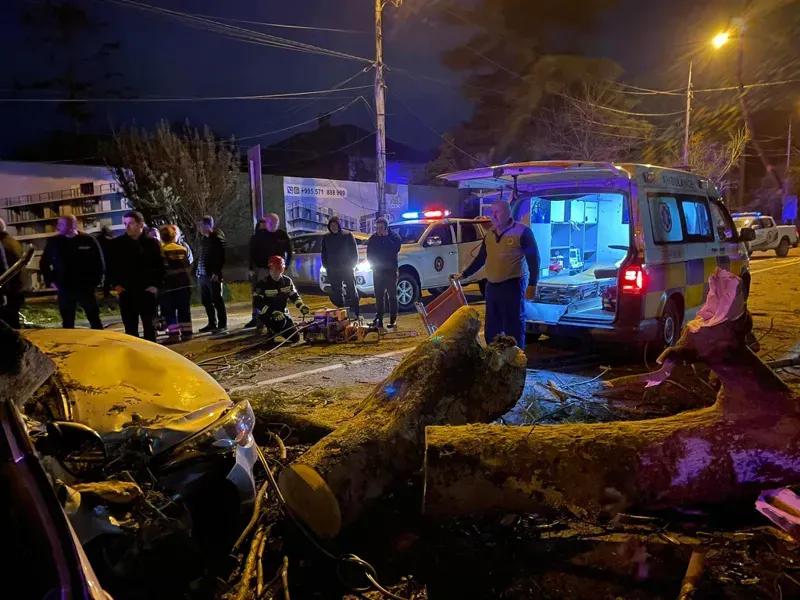 В результате сильного ветра в Аджарии погиб один человек, трое пострадали