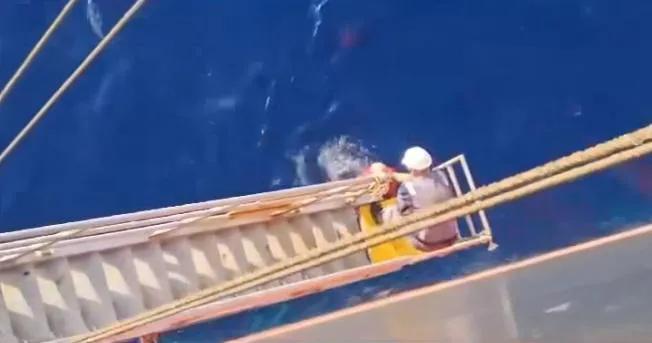 Грузинские моряки спасли от гибели 10 мигрантов  - «8 дней без воды и пищи в лодке посреди океана» (видео)