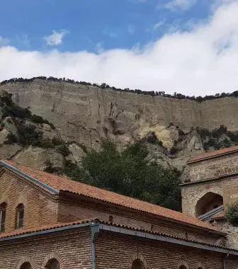 Национальное агентство окружающей среды – По первичной оценке, на крутом склоне Шио-Мгвимского монастыря произошло мгновенное обрушение массы различного состава