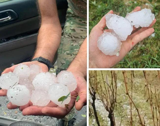 «Идет град размером с кулак» - стихия в Телави: град нанес ущерб жителям нескольких сел  (видео)