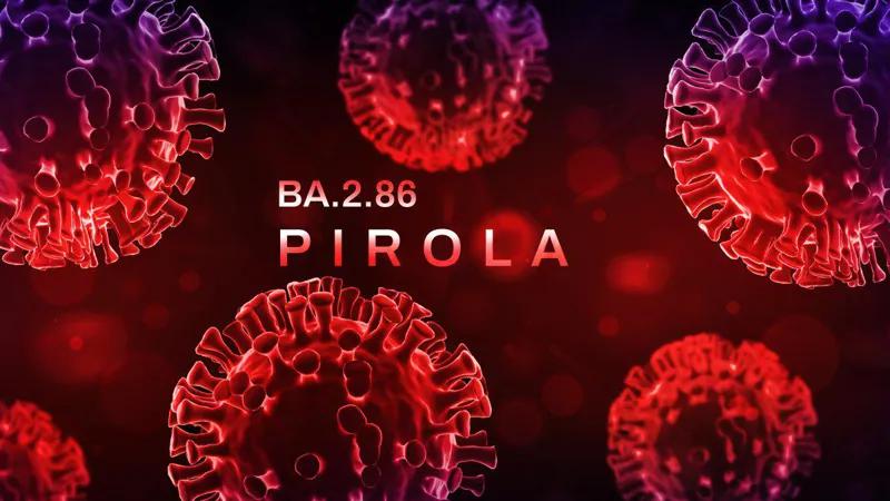 «Пирола»: что известно о новом штамме коронавируса, который зафиксирован в разных странах мира?