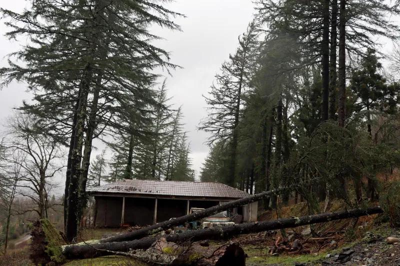 Фото из зоны стихии: какова ситуация в Чохатаури, где сильный ветер повредил крыши 107 домов – «Повалило многолетние деревья»