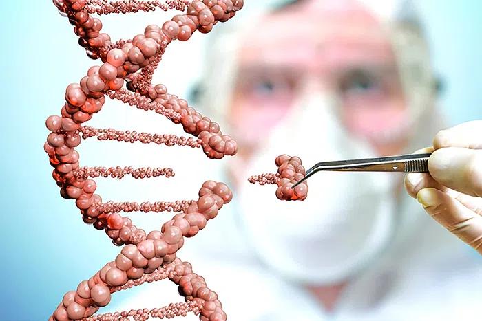 «Тайны» грузинской генетики — результат исследований Пенсильванского университета