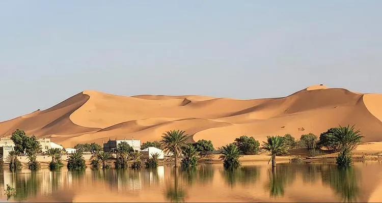 Часть Сахары затопило - фото самой сухой пустыни на Земле, где редкие осадки создали невероятные пейзажи