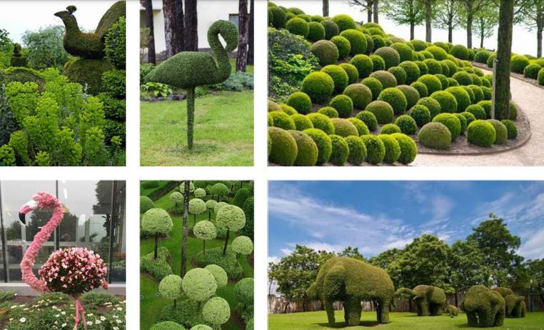 "Это будет один из самых дорогостоящих проектов" - На какой парк мэрия планирует потратить 100 миллионов (+фото)