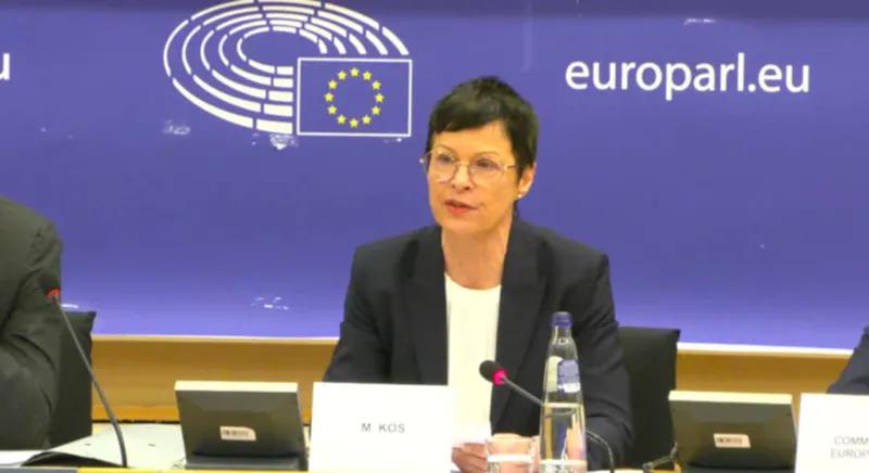 Комиссар ЕС - Государства-члены Евросоюза примут решение о введении визовых ограничений для владельцев грузинских дипломатических паспортов уже в конце января