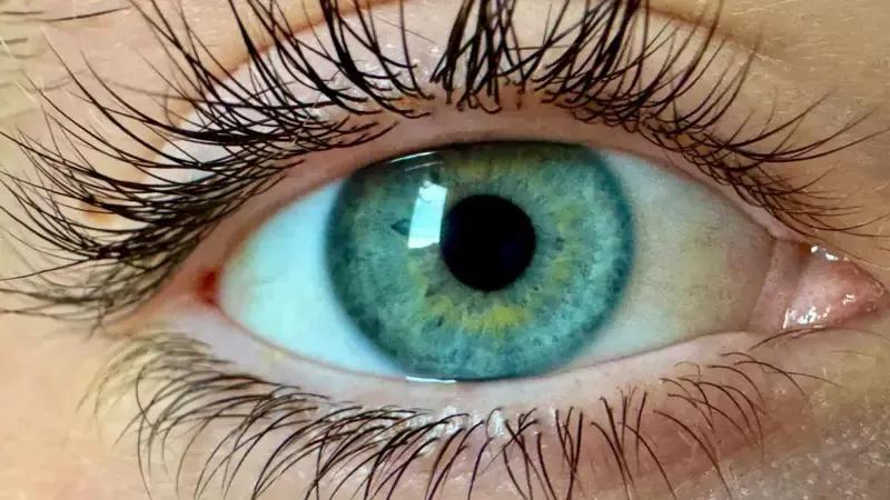 Ученые утверждают, что открыли  новый цвет, который раньше не видел ни один человек