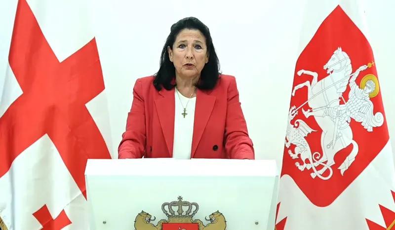 Платформа сопротивления, переходное правительство и «Грузинская хартия» — Саломе Зурабишвили представила план действий