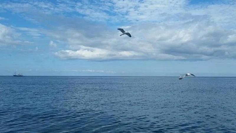 «Мы теряем пляжи, уровень моря поднялся примерно на 20 сантиметров»