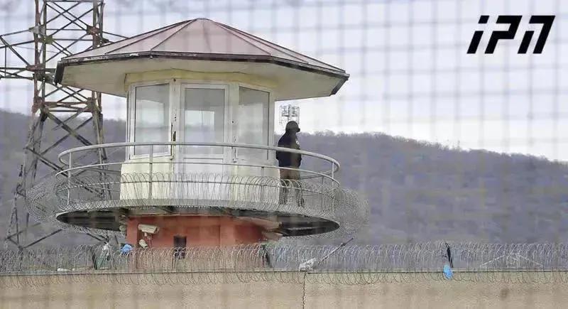 Бывший директор Глданского пенитенциарного учреждения Давид Гогоберишвили найден мертвым