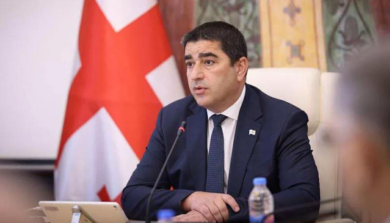 Шалва Папуашвили - Конституционный иск будет готов завтра