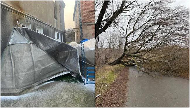 В Хашури и Кахети сильный ветер сорвал крыши с домов, вышли из стоя линии электропередачи, повалены деревья: задействована горячая линия (фото)