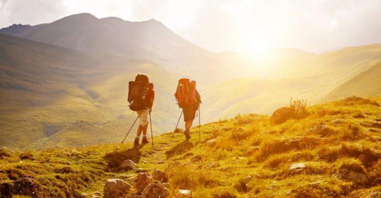 В 2026 году сертификация гидов станет обязательной - когда вступает в силу закон