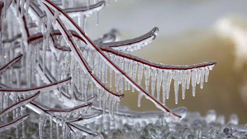 Ожидаются сильный мороз и ветер: в каком регионе будет -15 градусов - прогноз на ближайшие дни