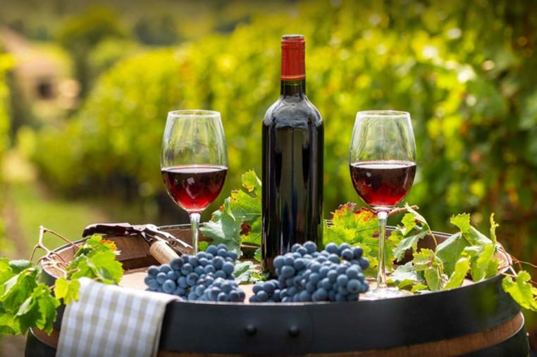 Правительство объявило 8 мая Национальным днем ​​вина